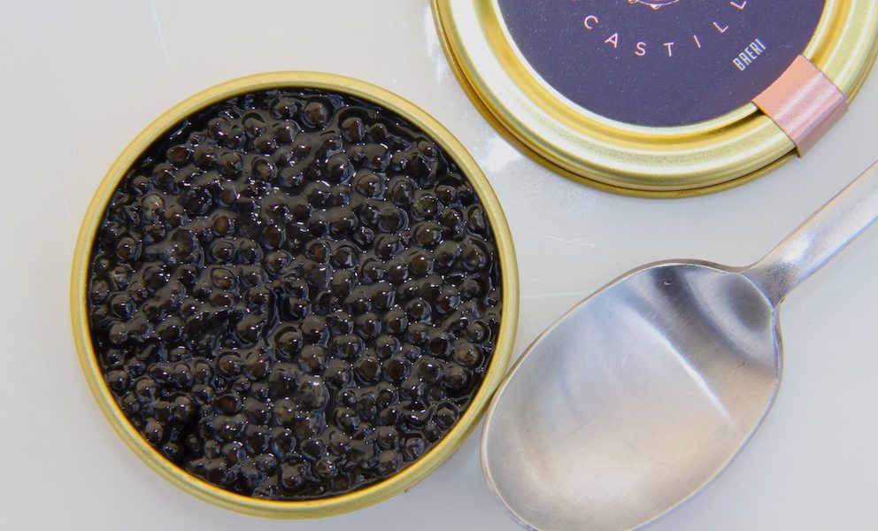 Le caviar qui descendait des Cévennes