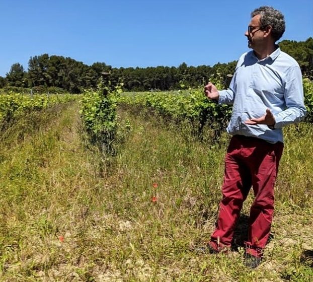 Château Massamier La Mignarde : la parole est au terroir