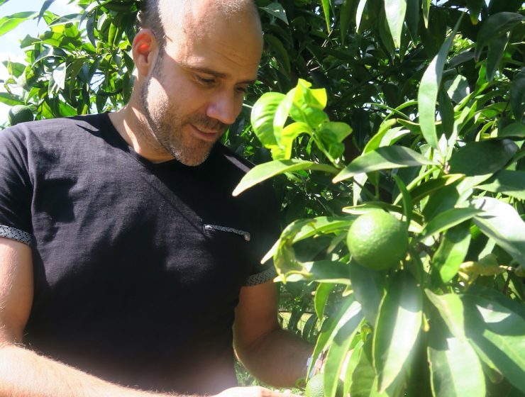 Les très vertueux légumes de la coopérative Uni-Vert