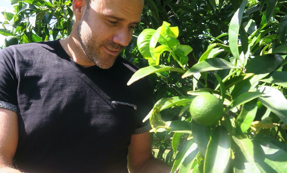 Les très vertueux légumes de la coopérative Uni-Vert