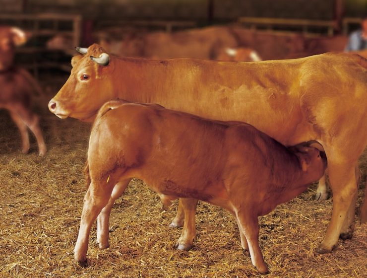 Tout le monde a le droit de bien manger