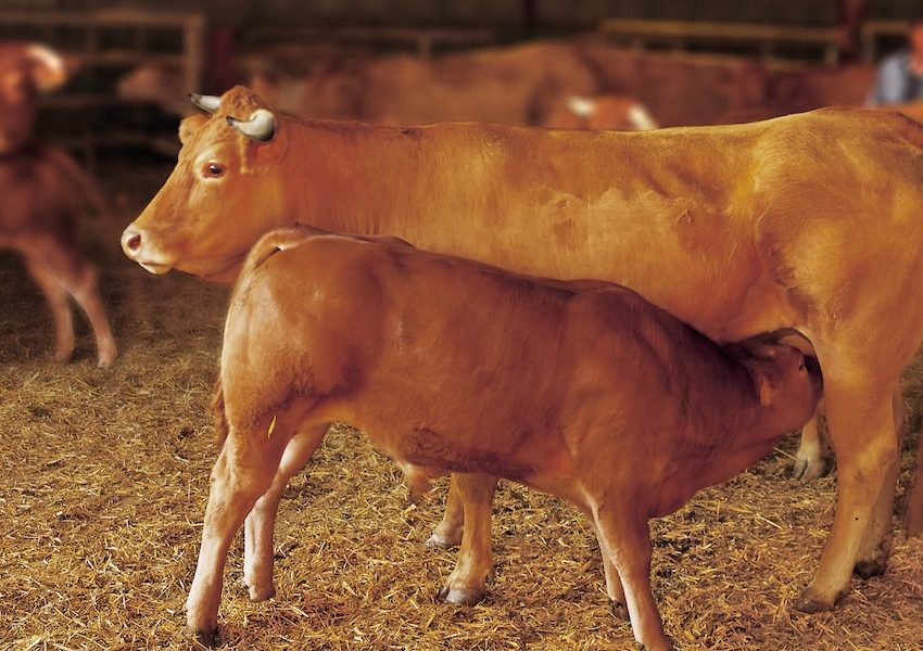 Tout le monde a le droit de bien manger